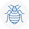 Bed Bug Extermination In Heathfield